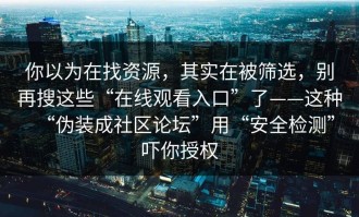 你以为在找资源，其实在被筛选，别再搜这些“在线观看入口”了——这种“伪装成社区论坛”用“安全检测”吓你授权