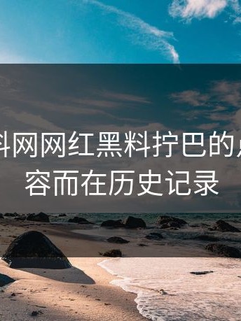 昨晚黑料网网红黑料拧巴的点不在内容而在历史记录