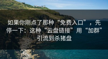 如果你刚点了那种“免费入口”，先停一下：这种“云盘链接”用“加群”引流到杀猪盘