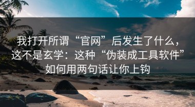 我打开所谓“官网”后发生了什么，这不是玄学：这种“伪装成工具软件”如何用两句话让你上钩