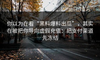你以为在看“黑料爆料出瓜”，其实在被把你导向虚假充值：把支付渠道先冻结