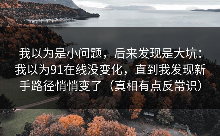 我以为是小问题，后来发现是大坑：我以为91在线没变化，直到我发现新手路径悄悄变了（真相有点反常识）