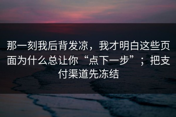 那一刻我后背发凉，我才明白这些页面为什么总让你“点下一步”；把支付渠道先冻结