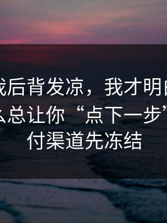 那一刻我后背发凉，我才明白这些页面为什么总让你“点下一步”；把支付渠道先冻结