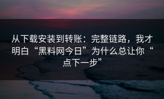 从下载安装到转账：完整链路，我才明白“黑料网今日”为什么总让你“点下一步”
