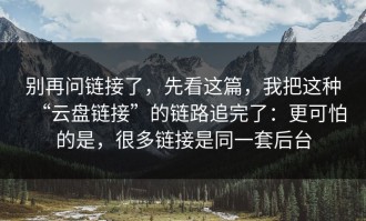 别再问链接了，先看这篇，我把这种“云盘链接”的链路追完了：更可怕的是，很多链接是同一套后台
