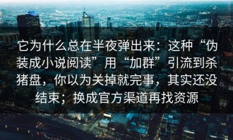 它为什么总在半夜弹出来：这种“伪装成小说阅读”用“加群”引流到杀猪盘，你以为关掉就完事，其实还没结束；换成官方渠道再找资源