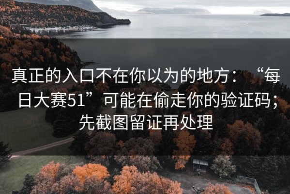 真正的入口不在你以为的地方：“每日大赛51”可能在偷走你的验证码；先截图留证再处理