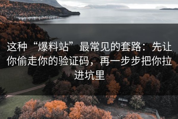 这种“爆料站”最常见的套路：先让你偷走你的验证码，再一步步把你拉进坑里