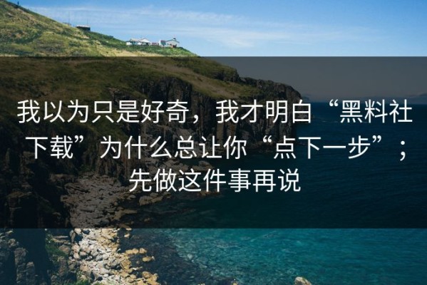 我以为只是好奇，我才明白“黑料社下载”为什么总让你“点下一步”；先做这件事再说