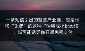 一条短信引出的整套产业链：越是标榜“免费”的这种“伪装成小说阅读”，越可能诱导你开通免密支付