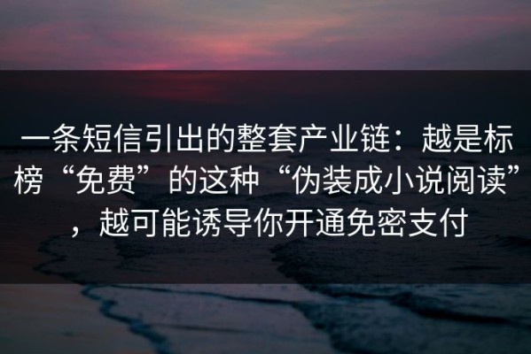 一条短信引出的整套产业链：越是标榜“免费”的这种“伪装成小说阅读”，越可能诱导你开通免密支付