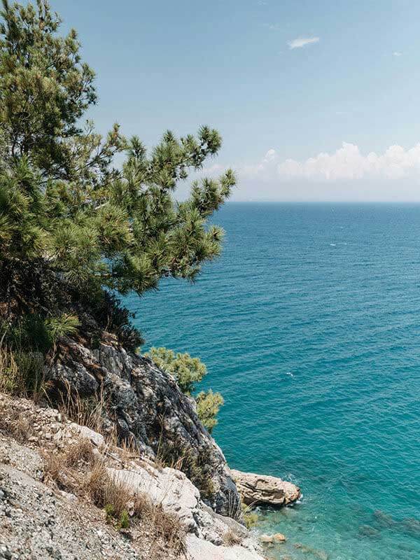 很多人忽略的细节：越是标榜“免费”的这种“资源合集页”，越可能用“风控提示”让你刷流水；看到这类提示直接退出