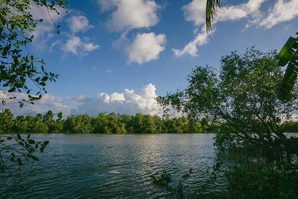 如果你刚点了那种“免费入口”，先停一下：这种“免费资源合集”诱导你开通免密支付