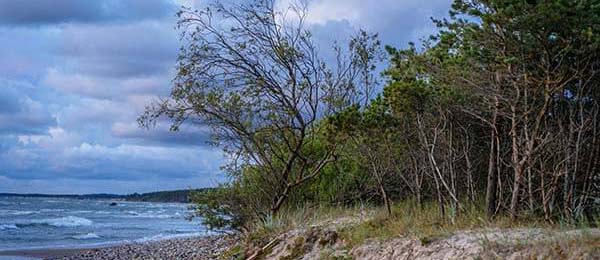 从下载安装到转账：完整链路：越是标榜“免费”的这种“APP安装包”，越可能在后台装了第二个壳；学会识别假客服话术