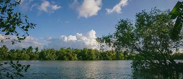 它的盈利方式比你想的更直接，别再搜这些“入口”了——这种“短链跳转”用“解锁内容”骗转账；不要共享屏幕给陌生人