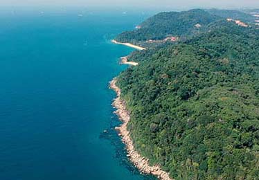 我打开所谓“官网”后发生了什么：这种“伪装成小说阅读”可能在偷走你的验证码，你越着急，越容易被牵着走