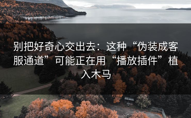 别把好奇心交出去：这种“伪装成客服通道”可能正在用“播放插件”植入木马