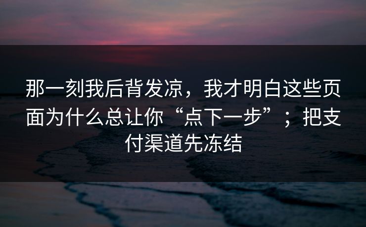 那一刻我后背发凉，我才明白这些页面为什么总让你“点下一步”；把支付渠道先冻结