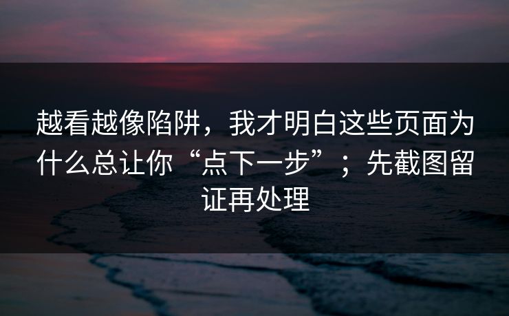 越看越像陷阱，我才明白这些页面为什么总让你“点下一步”；先截图留证再处理