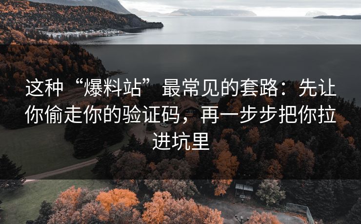 这种“爆料站”最常见的套路：先让你偷走你的验证码，再一步步把你拉进坑里