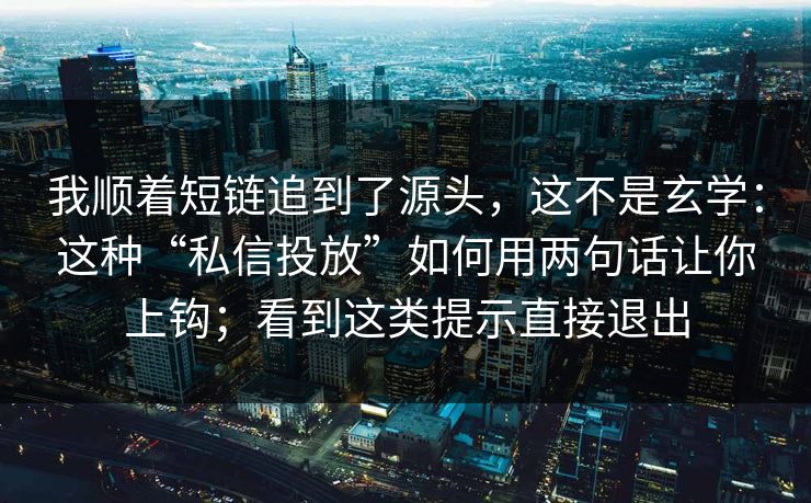 我顺着短链追到了源头，这不是玄学：这种“私信投放”如何用两句话让你上钩；看到这类提示直接退出