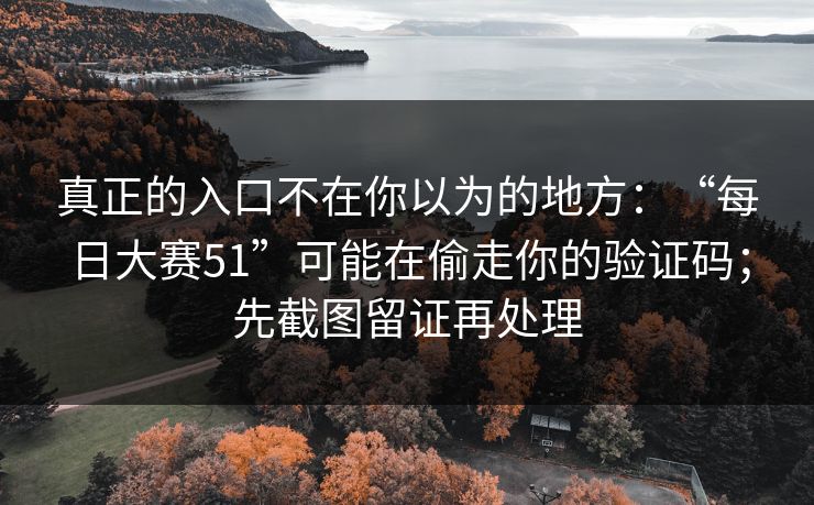 真正的入口不在你以为的地方：“每日大赛51”可能在偷走你的验证码；先截图留证再处理