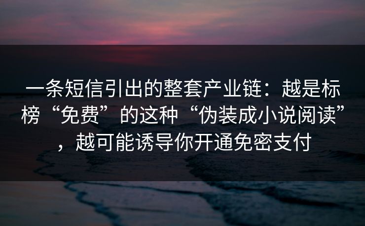 一条短信引出的整套产业链:越是标榜“免费”的这种“伪装成小说阅读”,越可能诱导你开通免密支付 一条短信引出的整套产业链:越是标榜“免费”的这种“伪装成小说阅读”,越可能诱导你开通免密支付